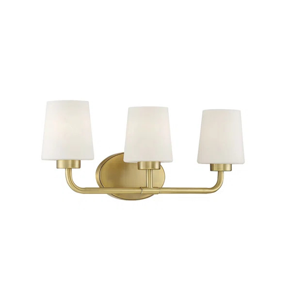 Soucy 3-Light Dimmable Vanity Light | Wayfair North America