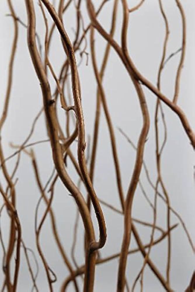 Richland Natural Curly Willow Branches 3'-4' Bundle | Amazon (US)