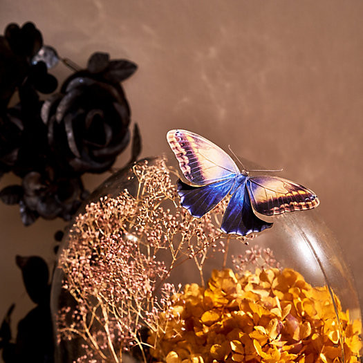 Paper Moths, Set of 3 | Terrain