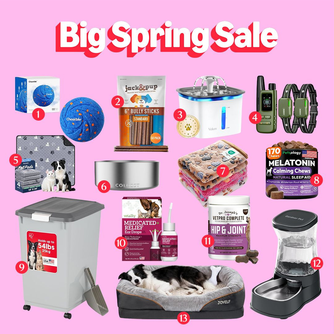 The Big Spring Sale on Amazon is here 🐶🐱✨—the perfect time to grab essentials and fun finds for your pets. From everyday supplies to toys and accessories, these picks help keep your dogs and cats happy and comfortable.
Whether you’re restocking or trying something new, now’s the best time to shop your must-haves. Don’t miss the Big Spring Sale on Amazon—save your favorites and treat your pets today 🐾💖
#LTKSaleAlert #LTKPets #LTKFinds #AmazonSpringSale #BigSpringSale #PetEssentials #DogLovers #CatLovers #PetFinds #AmazonFinds #PetCare #DogLife #CatLife #PetSupplies #FurBaby #PetLove #HappyPets #TrendingNow 

 