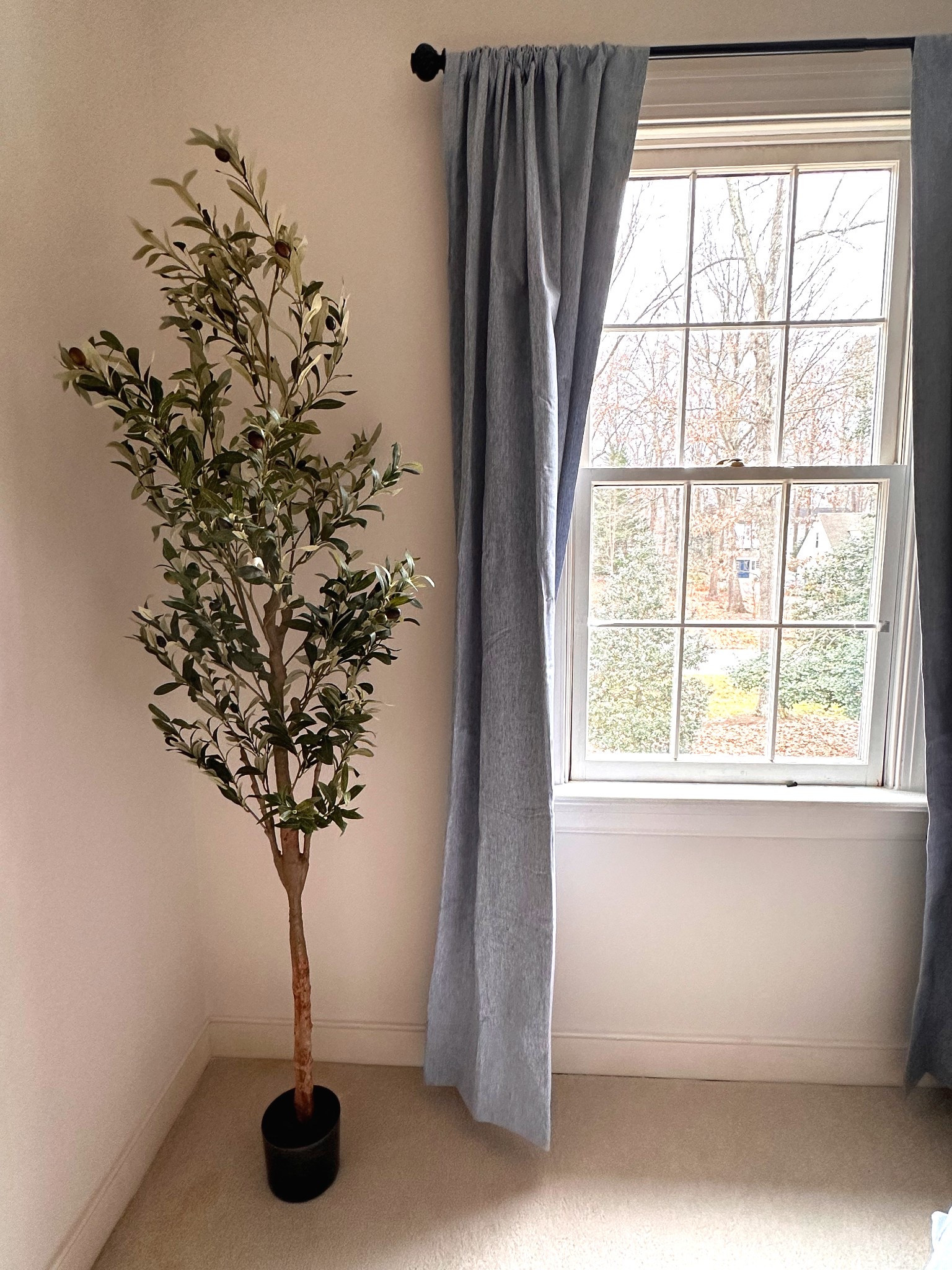 New addition to our primary bedroom corner #olivetree

#LTKdayinmylife #LTKHome