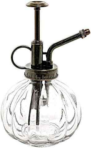 Layboo Vintage Style Transparent Glass Pumpkin Bottle Sprayer Watering Can Plant Mister (Transpar... | Amazon (US)