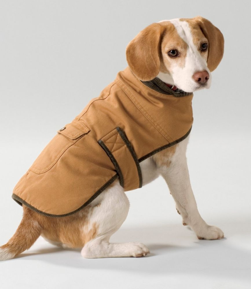 Field Coat for Dogs | L.L. Bean