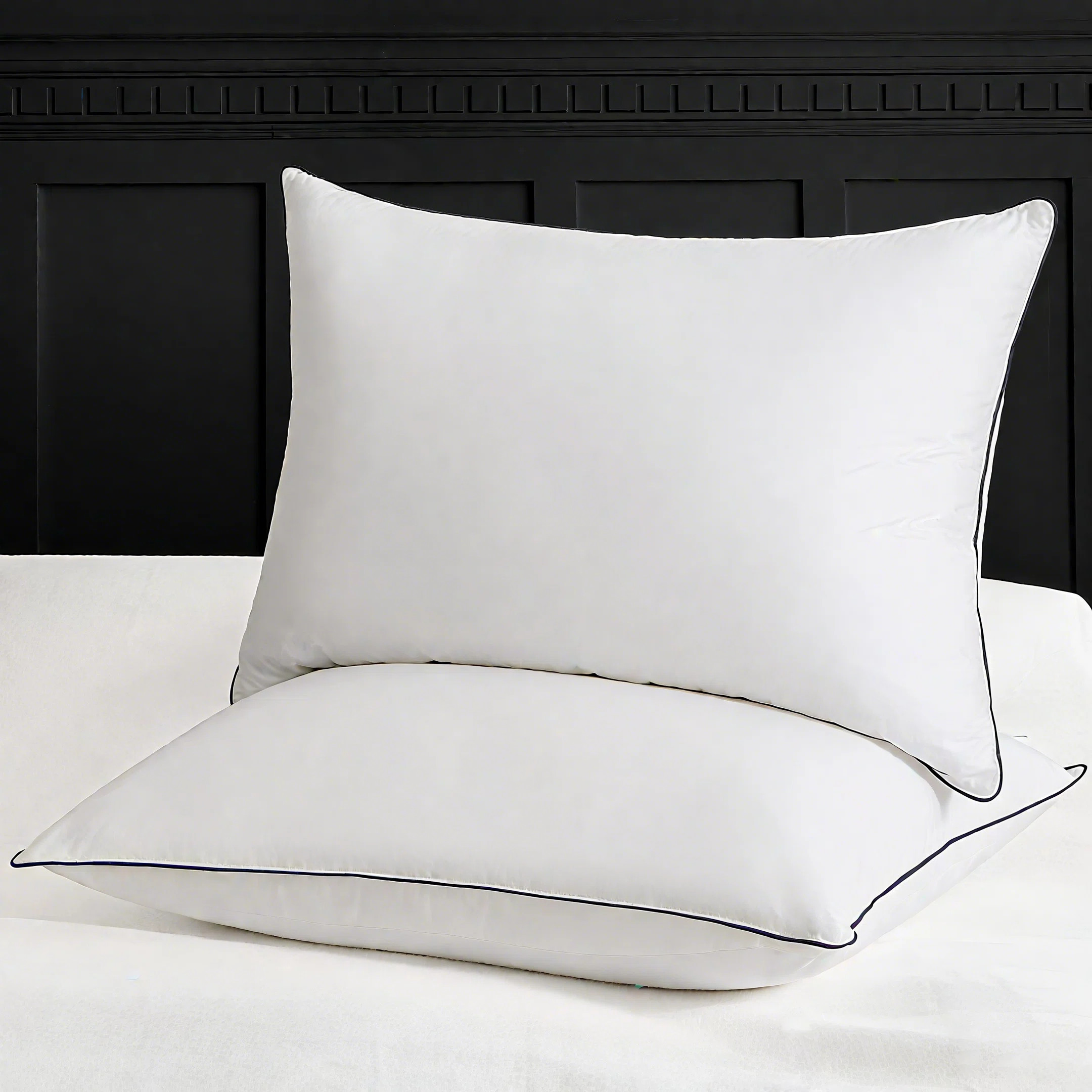 King Size Sleeping Goose Down Plush Pillow (Set of 2) | Wayfair North America