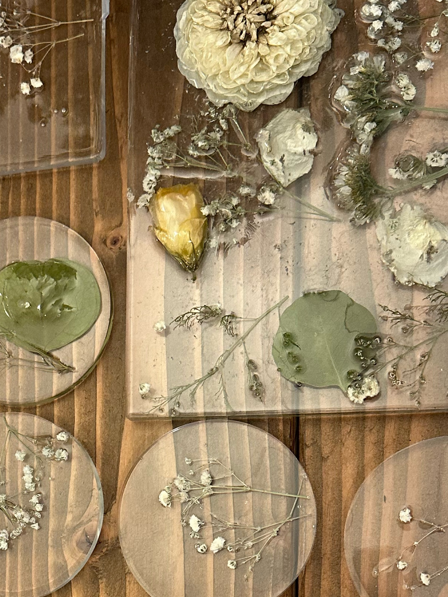 Preserved my wedding florals into these adorable little coasters and trivet 🌱 

#LTKwedding #LTKhome #LTKunder100