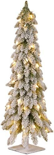 National Tree Company Pre-lit Artificial Mini Christmas Tree Includes Pre-strung White Lights Sno... | Amazon (US)
