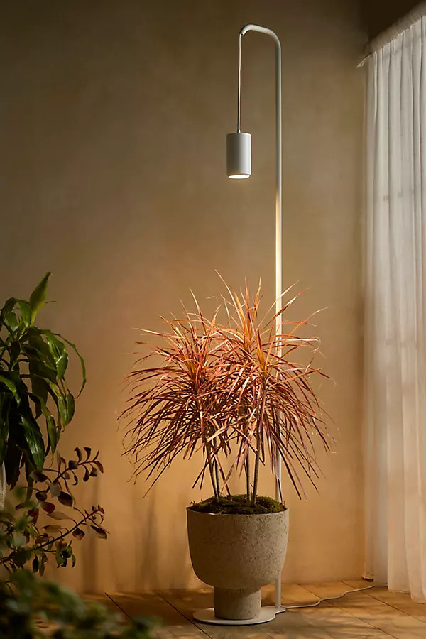 Soltech Floor Lamp LED Grow Light in White, Size: 7' at Terrain | Terrain
