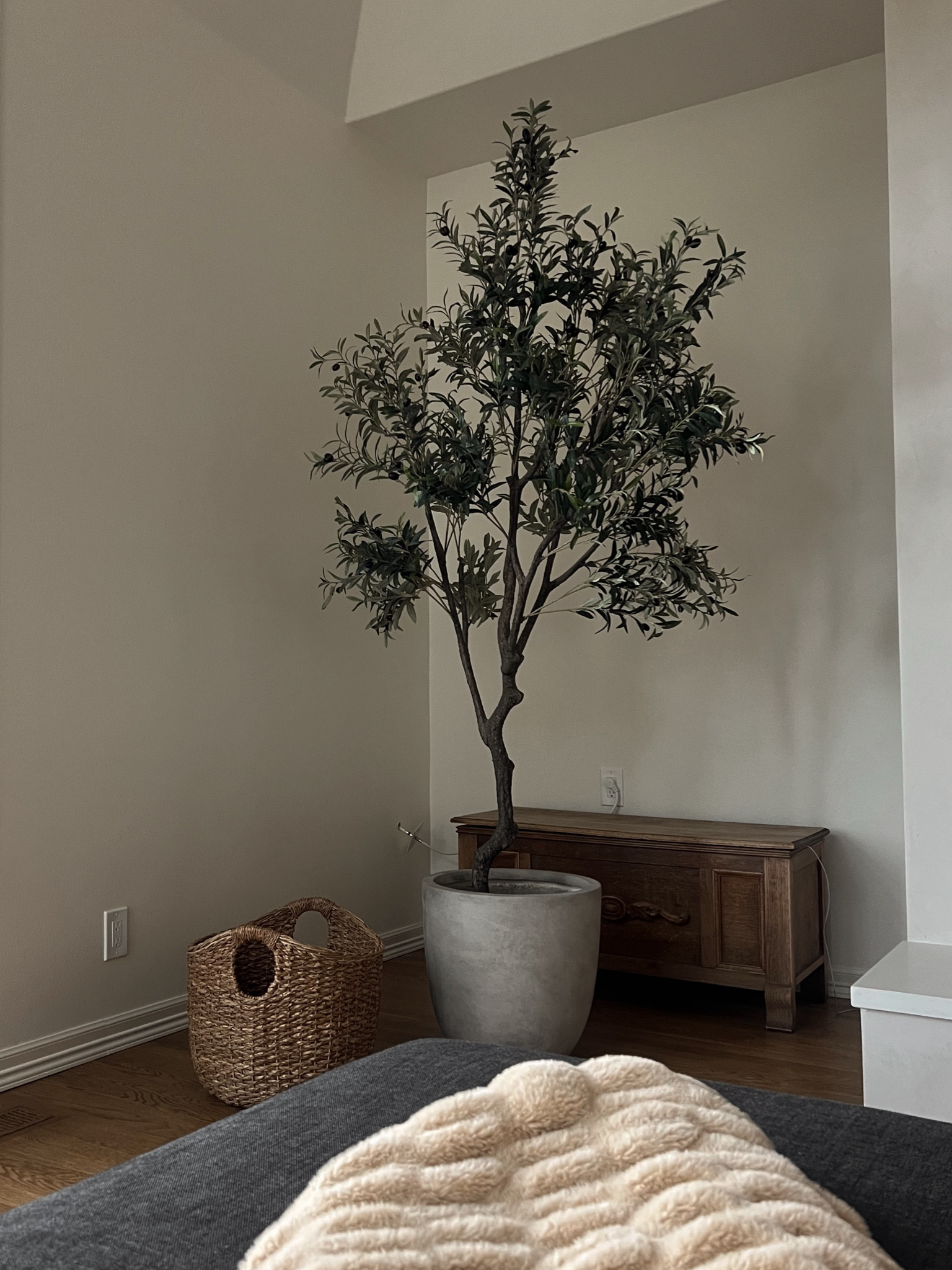 Fave olive tree from Etsy!! So realistic 

#LTKHome