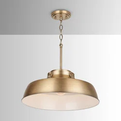 Wrought Studio 1-Light Single Dome Pendant | Wayfair | Wayfair North America