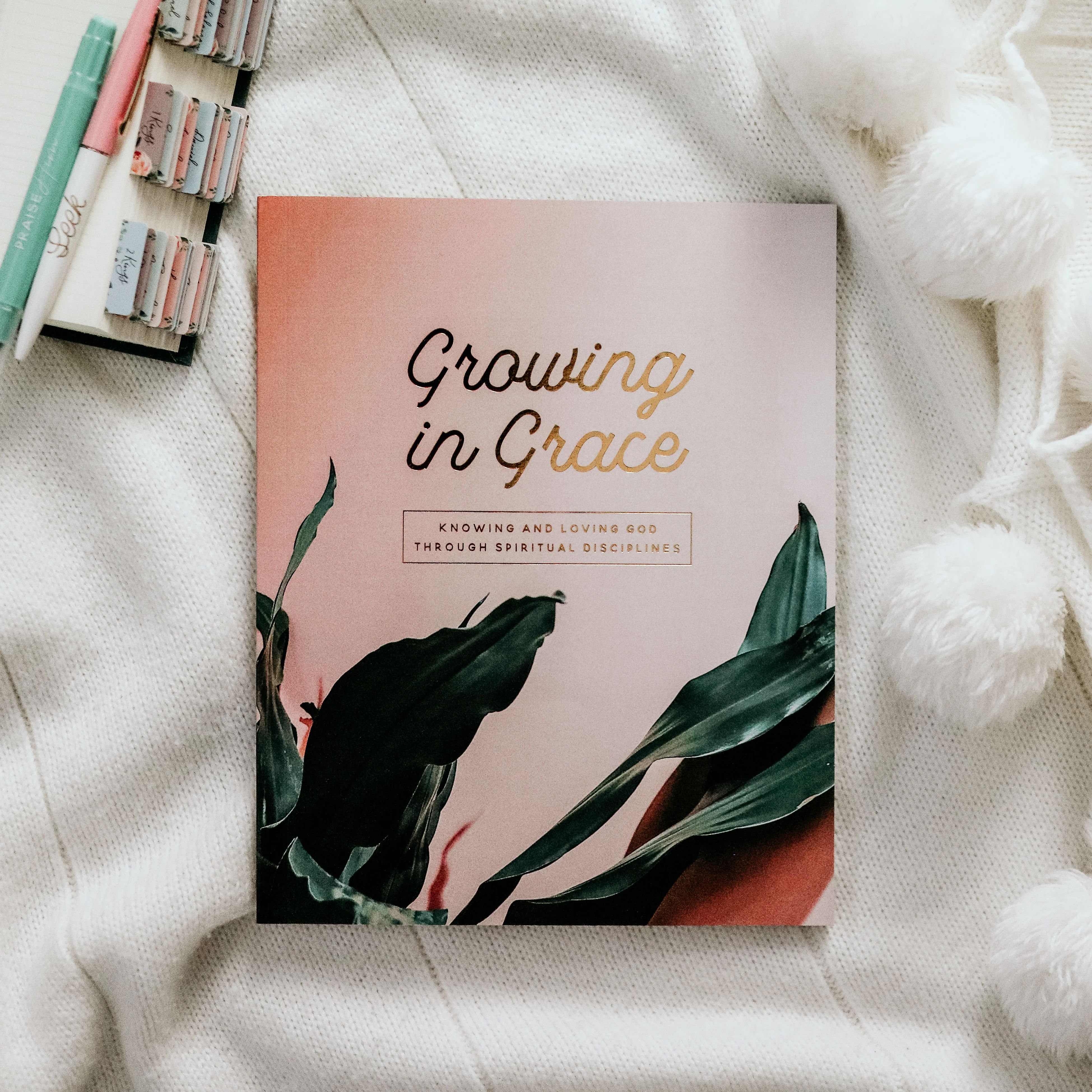 Growing in Grace | Spiritual Disciplines Study | The Daily Grace Co.