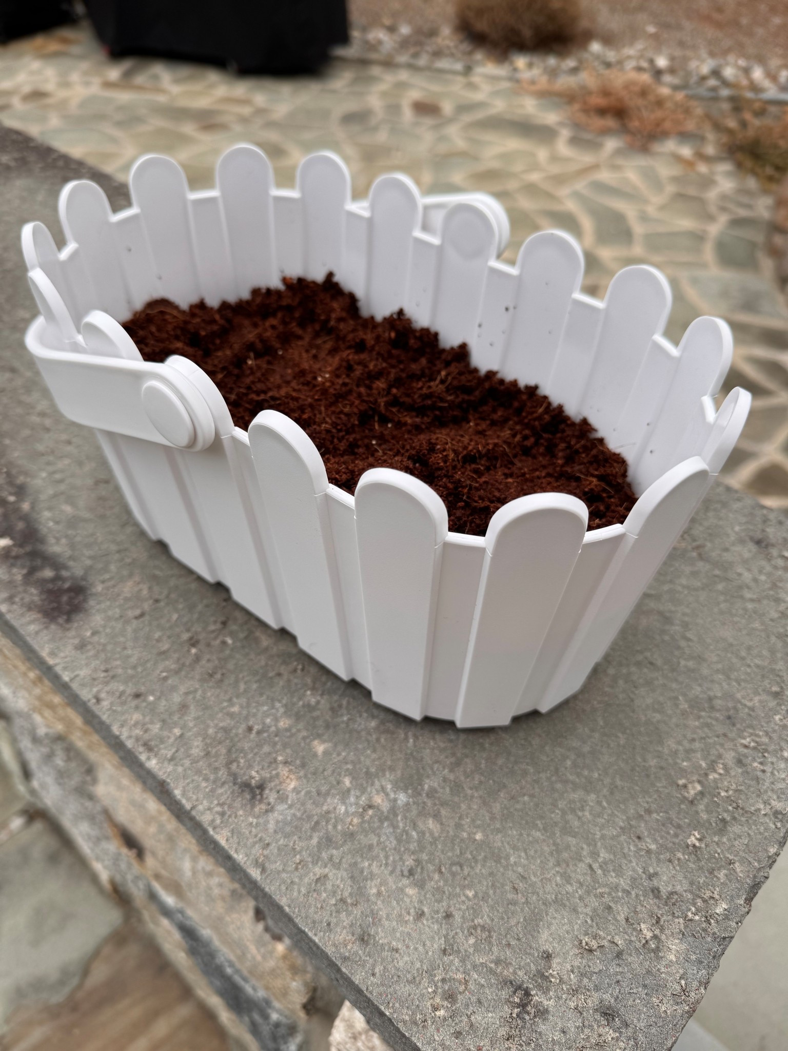 Fun Spring activity to do with your kids 

Grow their own strawberries! 

#LTKSeasonal #LTKKids #LTKHome