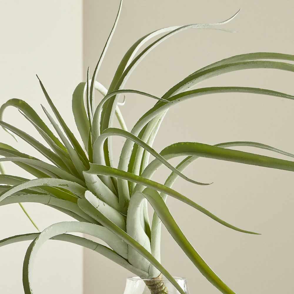 Tillandsia Grey Faux Succulent Stem | Crate & Barrel