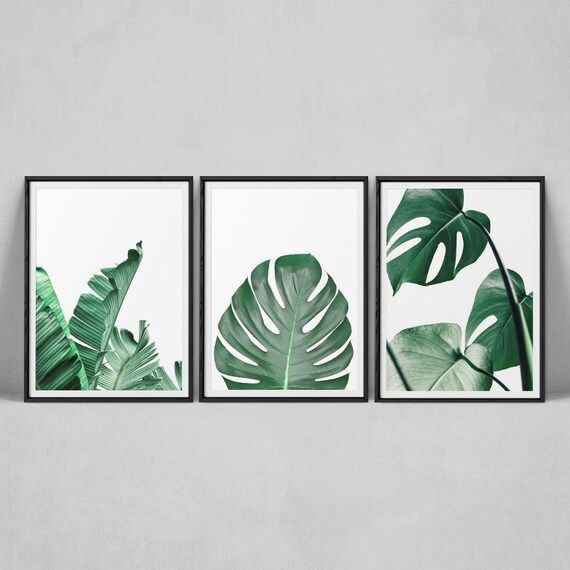 Tropical Leaf Print, Set Of 3 Wall Art, Monstera Leaf Print, Banana Leaf Print, Palm Leaf Wall Ar... | Etsy (US)