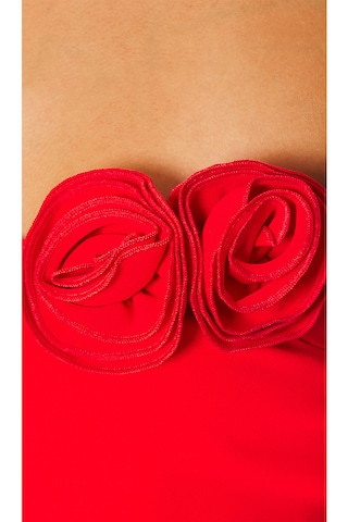 X REVOLVE Sabine Mini Dress in Crimson | Revolve Clothing (Global)