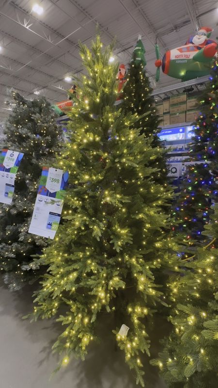 Went to Lowe's to scope out the best Christmas trees! So many pretty, realistic Christmas trees...linking my favorites below!
................
Front porch Christmas tree, 9 foot Christmas tree, potted Christmas tree, Christmas tree in basket, realistic Christmas tree, 7.5 foot Christmas tree, 9' Christmas tree, 9' tree, 7.5' Christmas tree, 7.5' tree, green Christmas tree, flocked Christmas tree , color light Christmas tree multicolor Christmas tree Christmas tree under $100 Christmas tree under $200 Christmas tree under $300 best Christmas tree viral Christmas tree 

#LTKHoliday #LTKkids #LTKhome