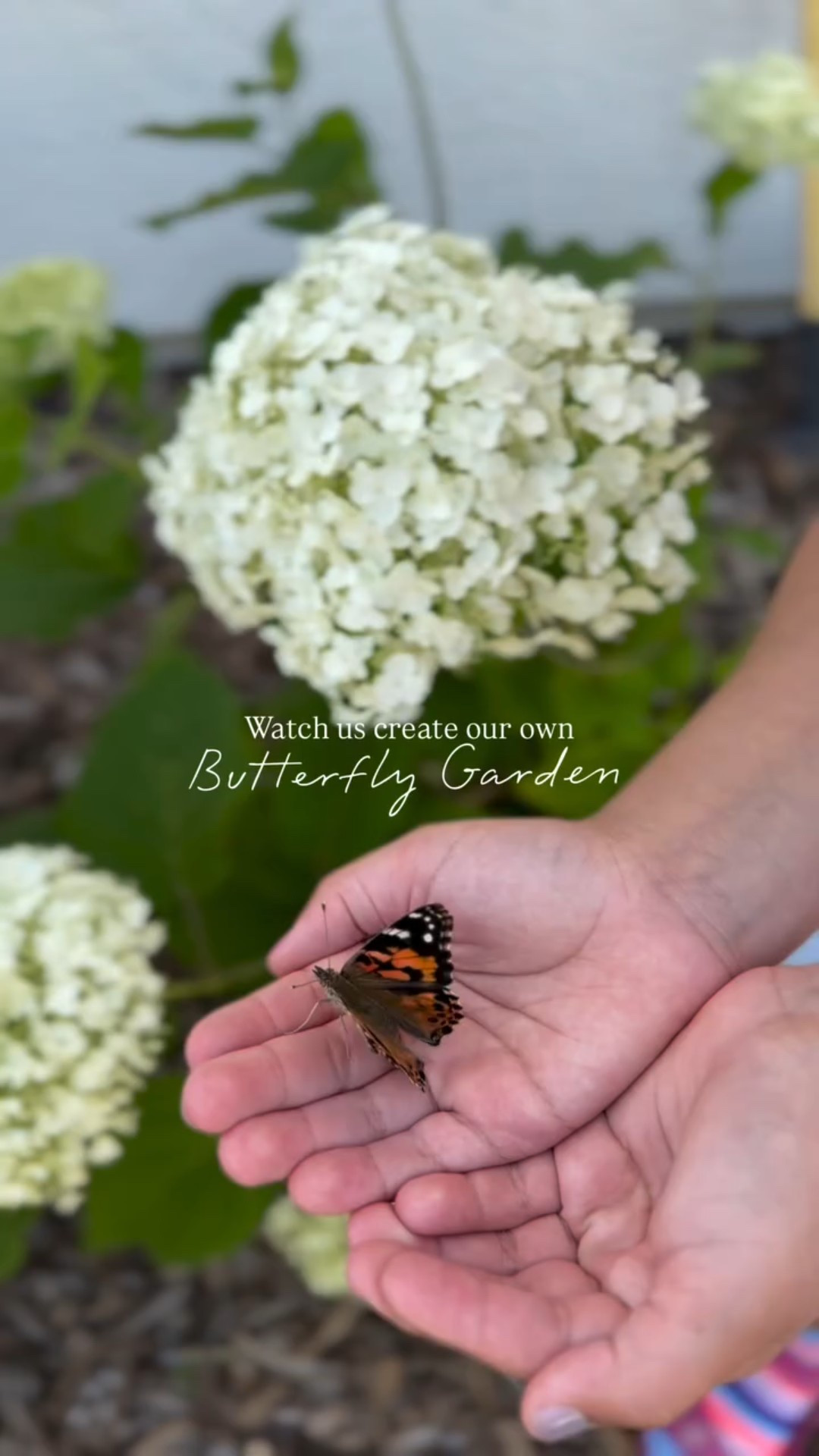 Comment SHOP and I’ll send you the link to the butterfly kit we use year after year to hatch our own butterflies 🦋 Yes, kit even comes with caterpillars! 🐛 

This has been a yearly tradition for going on 4 years now, the kids absolutely love it, and last year we took it up a notch and made the butterflies a sign so they knew which garden was theirs 🤪.