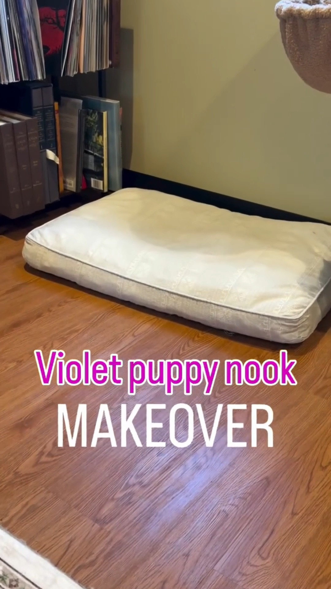 It was time for a change! Big thanks to 360 Promotion for gifting us Violet’s sign and thanks to dad for putting the nook all together. #goldendoodle
#goldendoodlelife
#goldendoodlesofinstagram
#goldendoodlepuppy
#doodledog
doodlesoftheworld
fluffydog
dogsoftiktok
dogsofinstagram
doglife
cutedogclub
dogloverclub
petreels
petfluencer
dogcontent