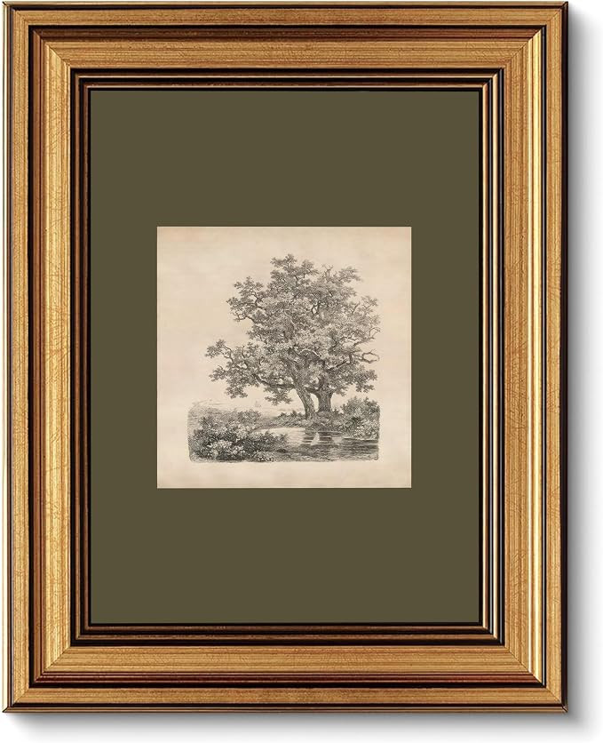 FKRYTYB Vintage Gold Framed oak Landscape Etching Wall Art 9x11in | Green Gray Tree Natural Sketc... | Amazon (US)