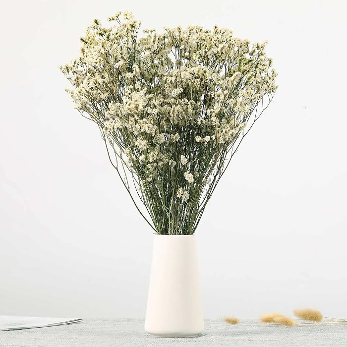 Dried Flowers Babys Breath Bouquet, Natural White Dry Flowers – 17'' 1800+ Ivory Flowers, Prese... | Amazon (US)