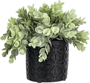 MyGift Artificial Plant Eucalyptus Boxwood in Modern Black Concrete Pot with Geometric Embossed P... | Amazon (US)