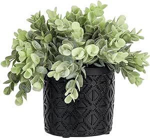 MyGift Artificial Plant Eucalyptus Boxwood in Modern Black Concrete Pot with Geometric Embossed P... | Amazon (US)