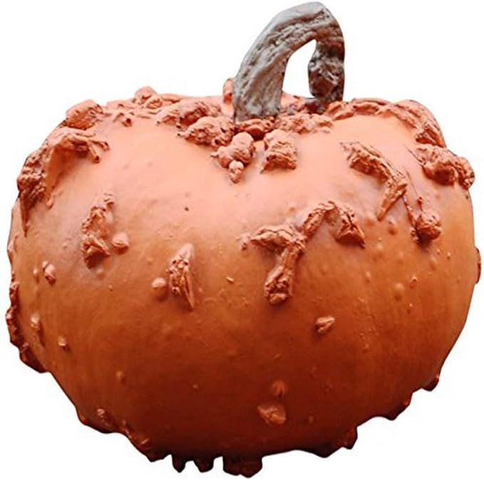 Hickory Manor House Peanut Fall Harvest Pumpkin for Home Decor | Amazon (US)