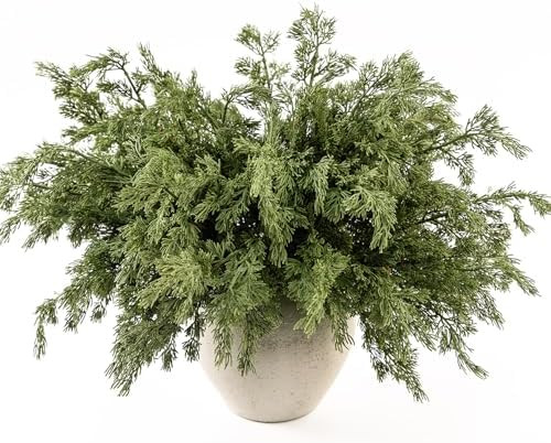 MISSPIN 12 Pcs 21.5 Inches Christmas Cedar Branches, Cedar Artificial Christmas Branches DIY Craf... | Amazon (CA)