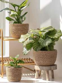 1pc Woven Seagrass Plant Basket, Pot Decoration, Indoor/Outdoor Garden Decor SKU: sh2403276945930... | SHEIN