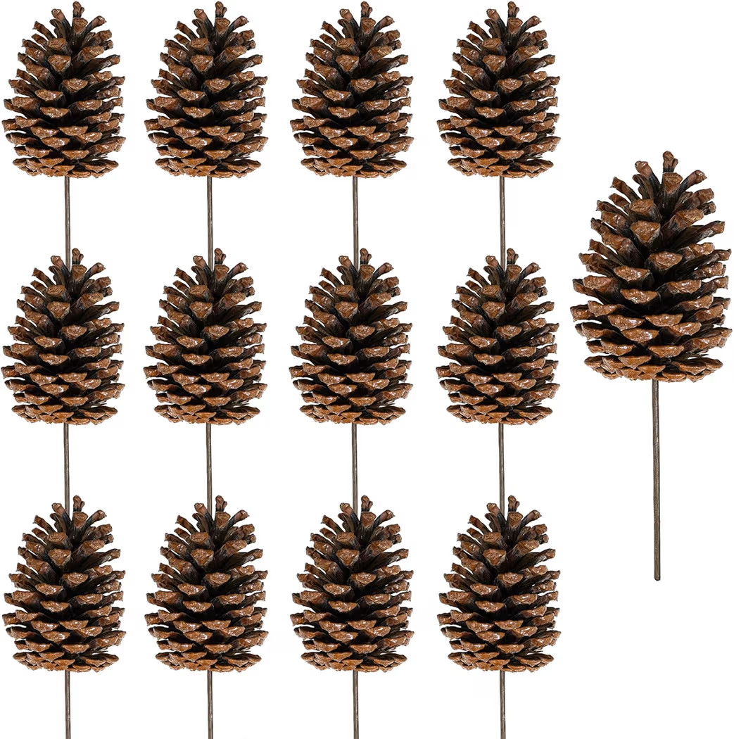 Winlyn 12 Pcs Natural Pine Cone Picks Christmas Pinecone Sprays Medium Pinecones Picks with Wired... | Amazon (US)