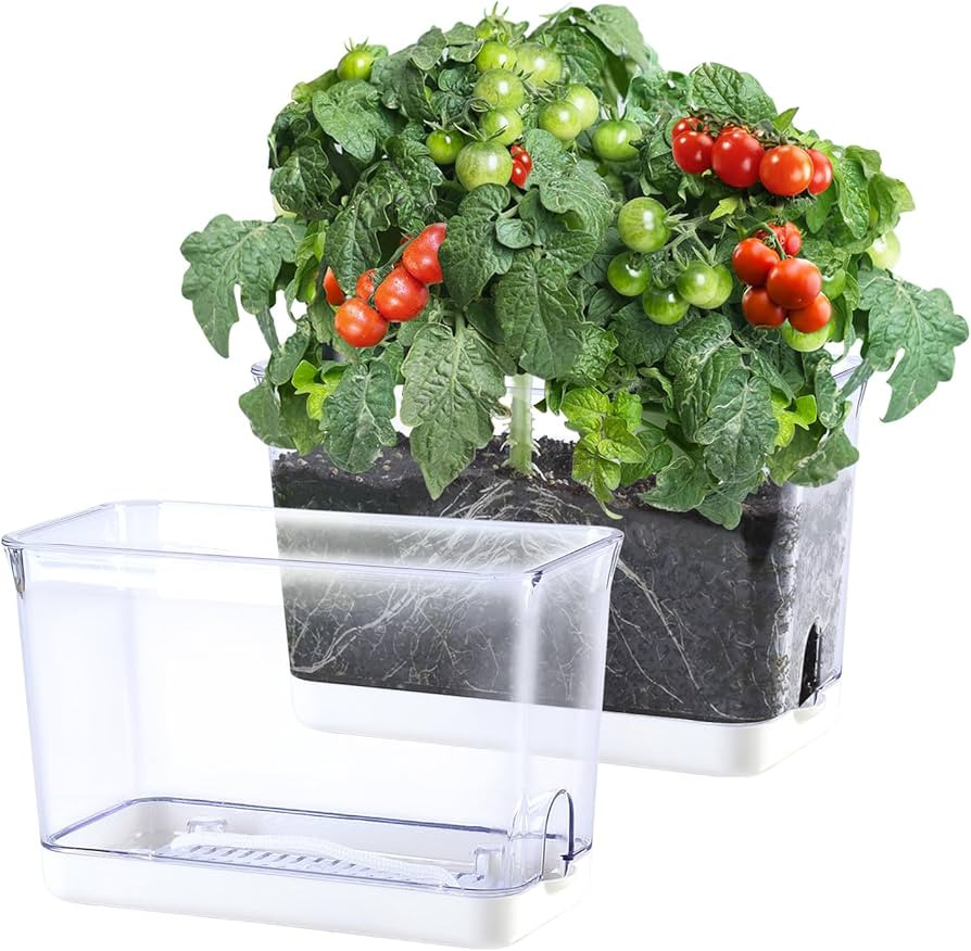 Oliz Self Watering Planter, 2 Pack African Violet Pots, Rectangular Self-Watering Planters Box Tr... | Amazon (US)