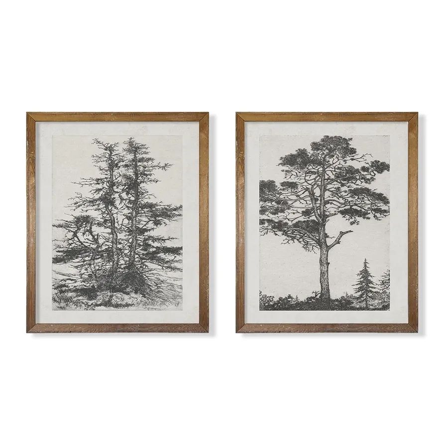 Grey Neutral Forest Tree Sketch Drawing Etching - Modern Farmhouse Botanical Wall Art - Beige Nat... | Amazon (US)