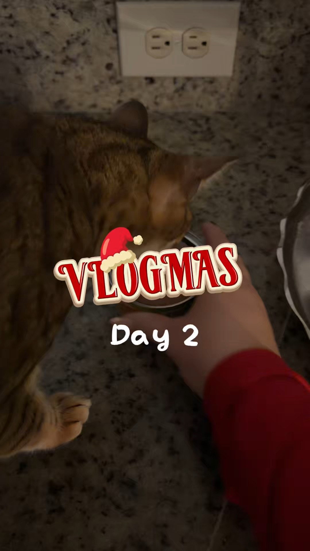 VLOGMAS day 2

#LTKdayinmylife #LTKGiftGuide #LTKHoliday