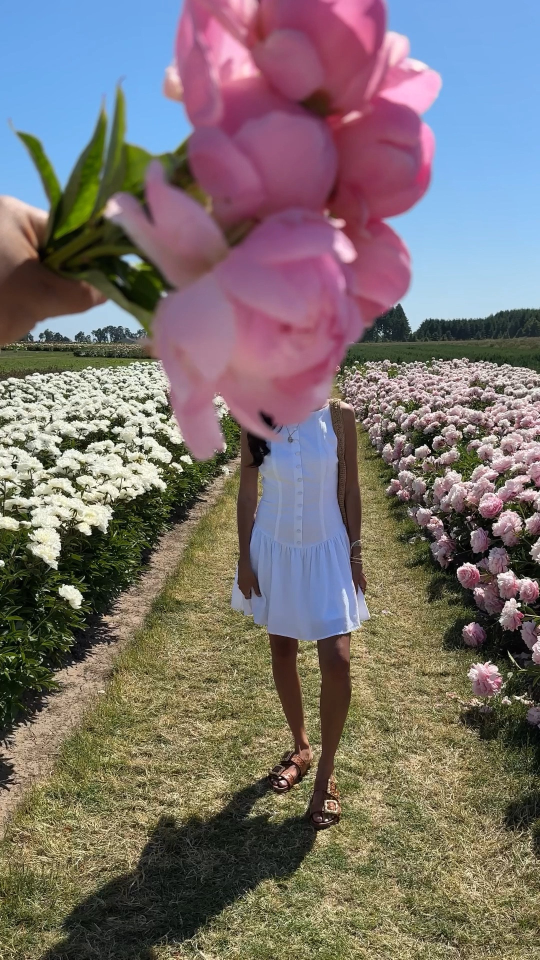 white dress, summer dress, linen dress, summer outfits, summer look, graduation dress, spring dress

#LTKSummerEdit