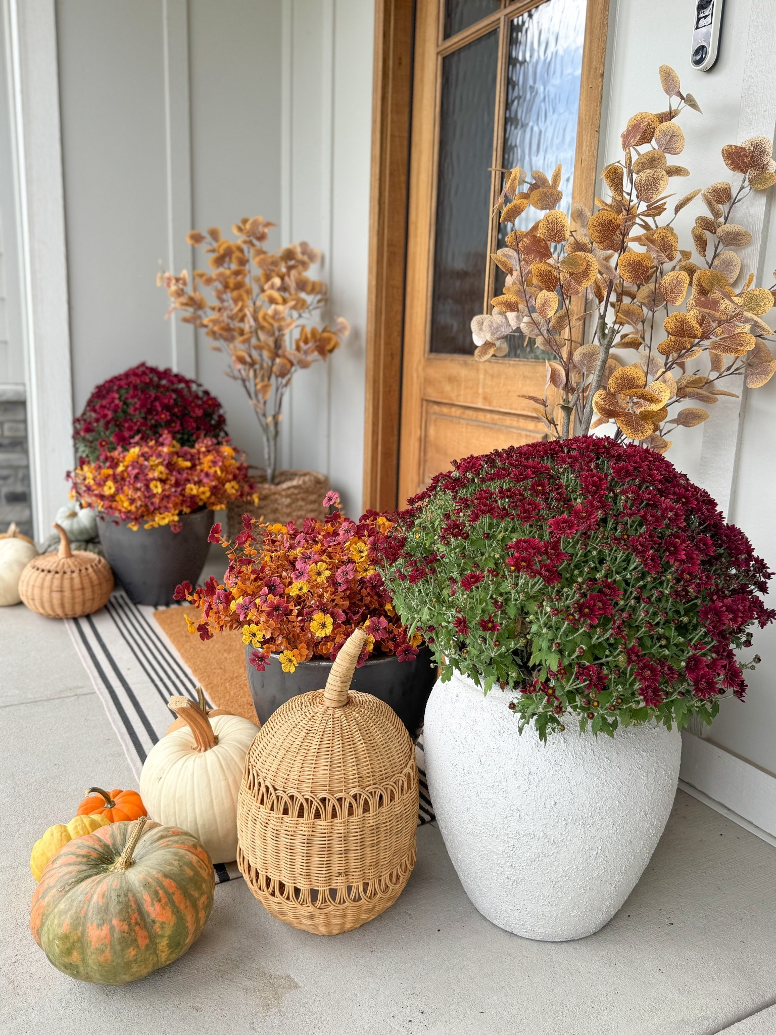 ✨Fall Front Porch 

I love mixing a little real with a little faux decor. What I do love about the faux trees and mums is that I’ll be able to store them after the season and use them again, not to mention not having to keep them alive #blackthumb 

Do you use only real or only faux? I’d love to know 👇🏻

Fall front porch, fall decor, fall outdoor, fall patio, fall wreath, porch mat, porch decor, front porch, outdoor fall decor, affordable home finds, porch decor


#LTKHome #LTKSeasonal