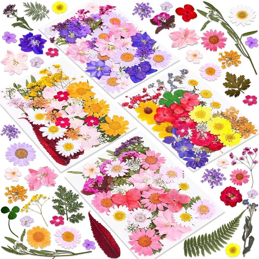 140 Pcs Dried Pressed Flowers for Resin, Real Pressed Flowers Dry Leaves Bulk Natural Herbs Kit f... | Amazon (US)