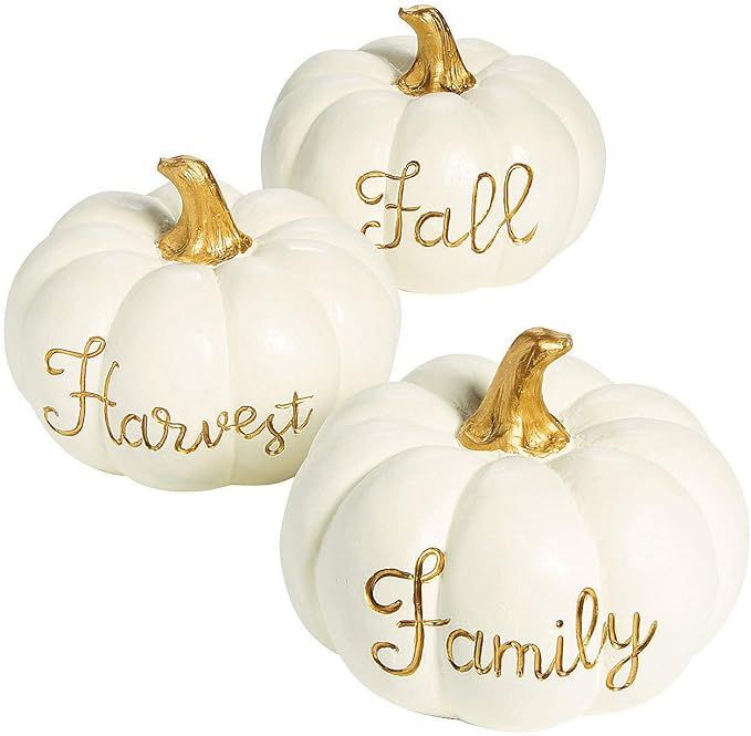 White Pumpkin with Gold Centerpieces (3 Piece Set) Fall and Halloween Home Decor | Amazon (US)