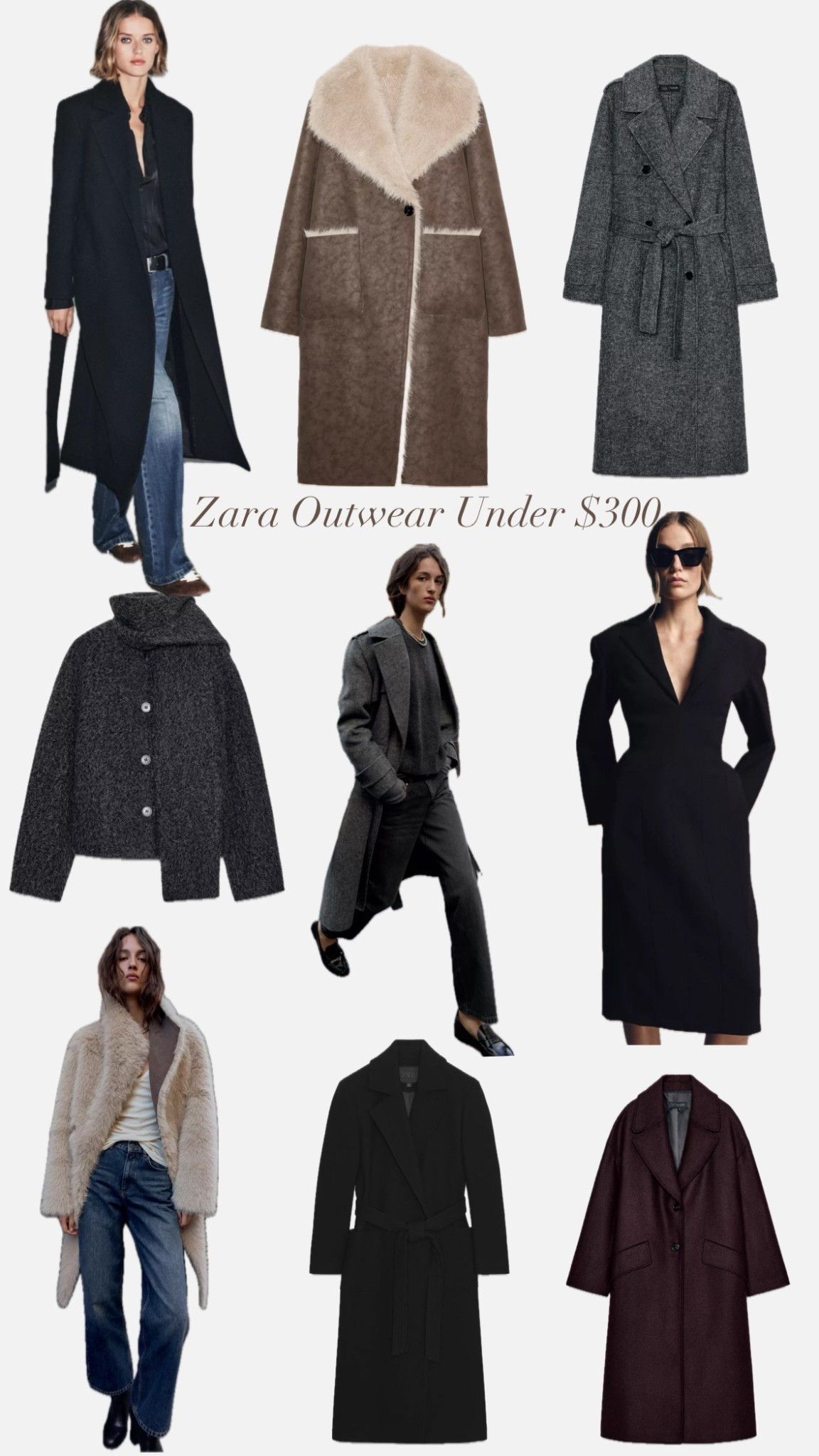 Stunning coats this season from Zara - all under $300 — daily edit cover from Found by Em