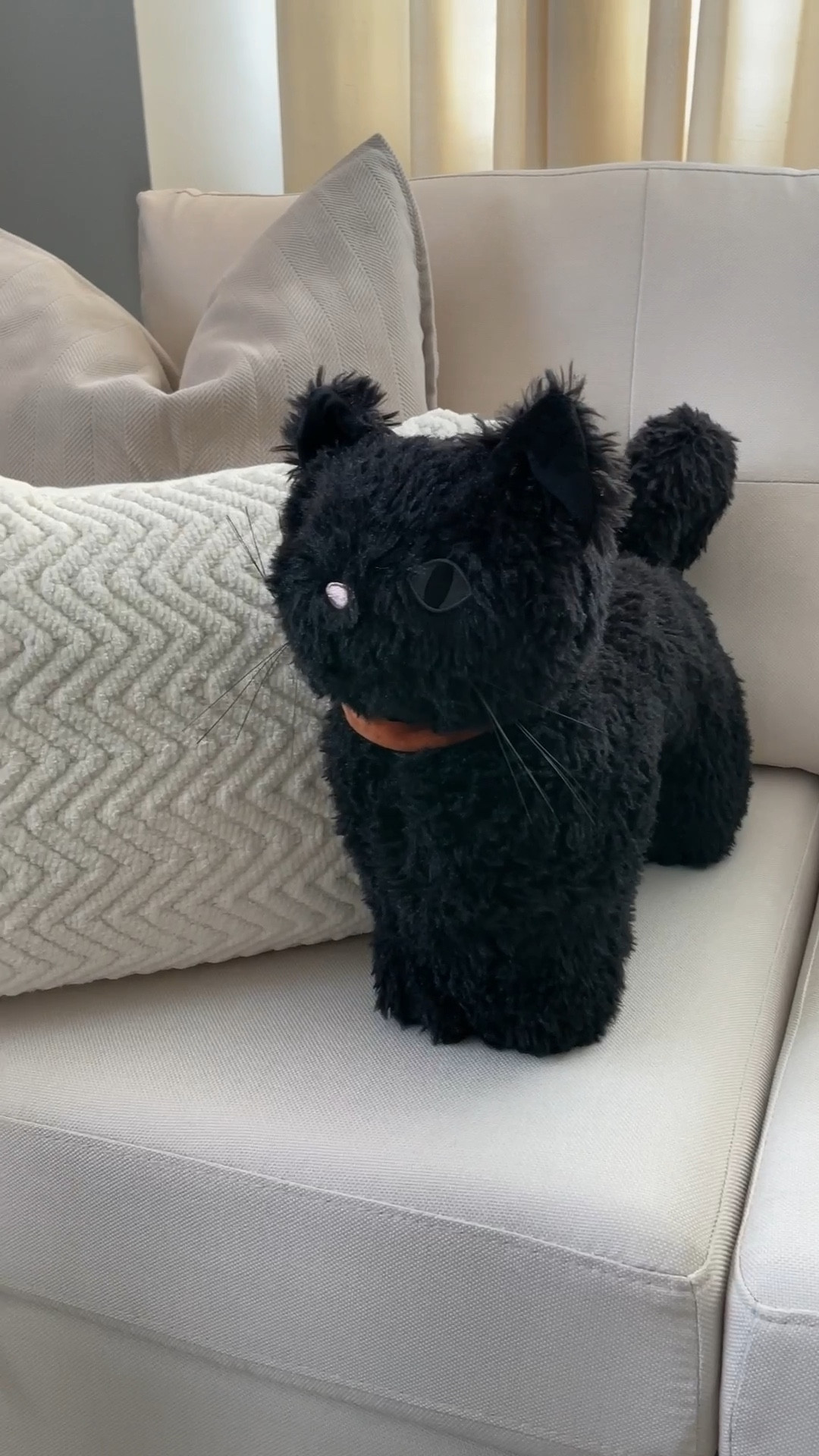 Super cute Halloween Cat Pillow from Walmart! 🐈‍⬛

#LTKHome #LTKHoliday #LTKSeasonal