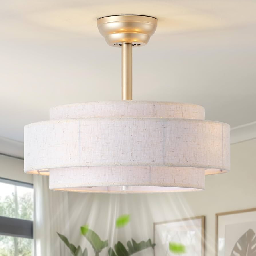 20'' Boho Fandelier Ceiling Fan with Light, Gold Fabric Chandelier with Light Remote Control, Cag... | Amazon (US)