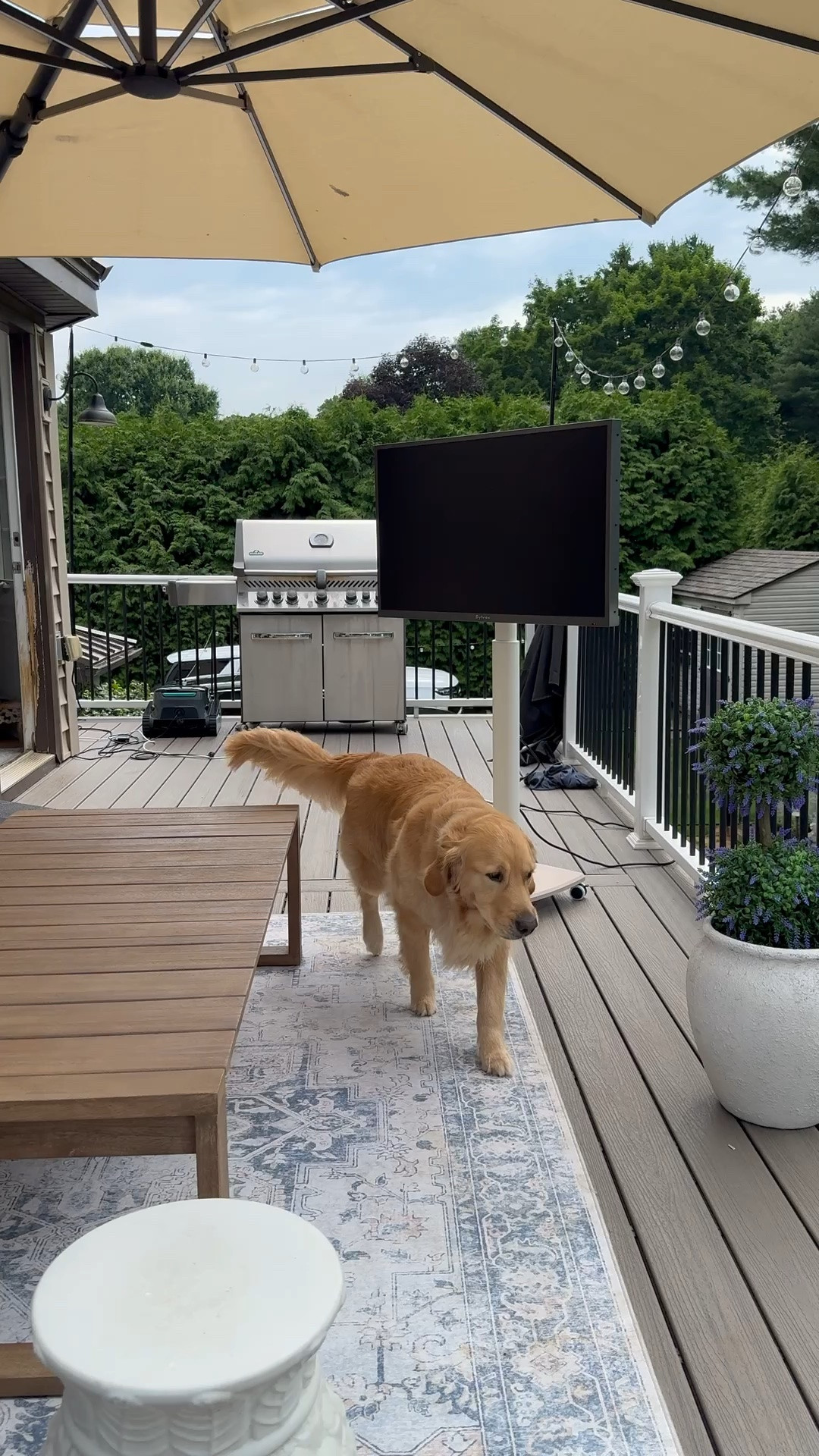 Patio decor, outdoor tv

#LTKHome