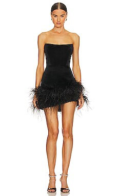 Fiora Mini Dress
                    
                    Bronx and Banco | Revolve Clothing (Global)