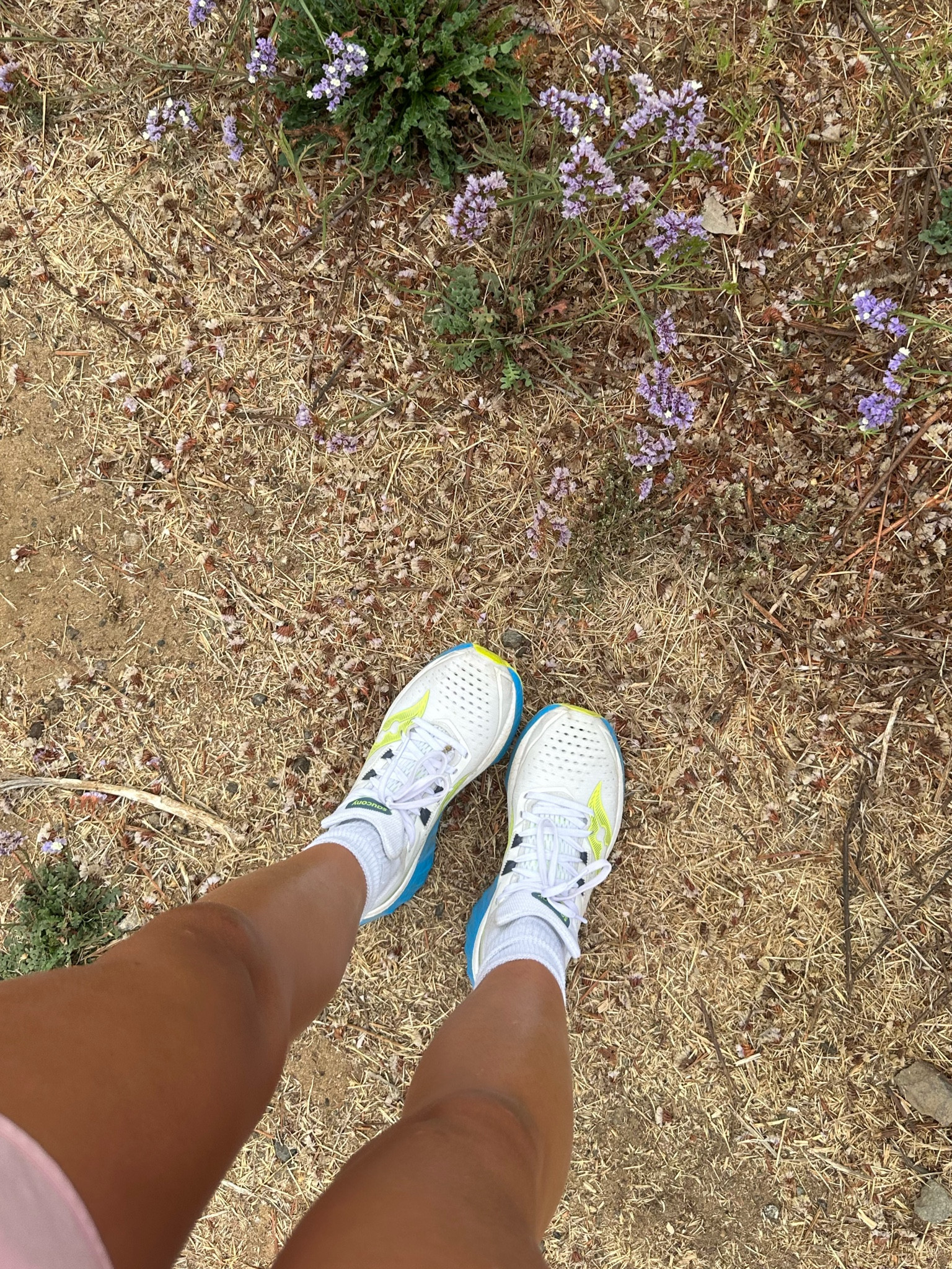 my go to running shoes right now!!

i have size 7, true to size:)