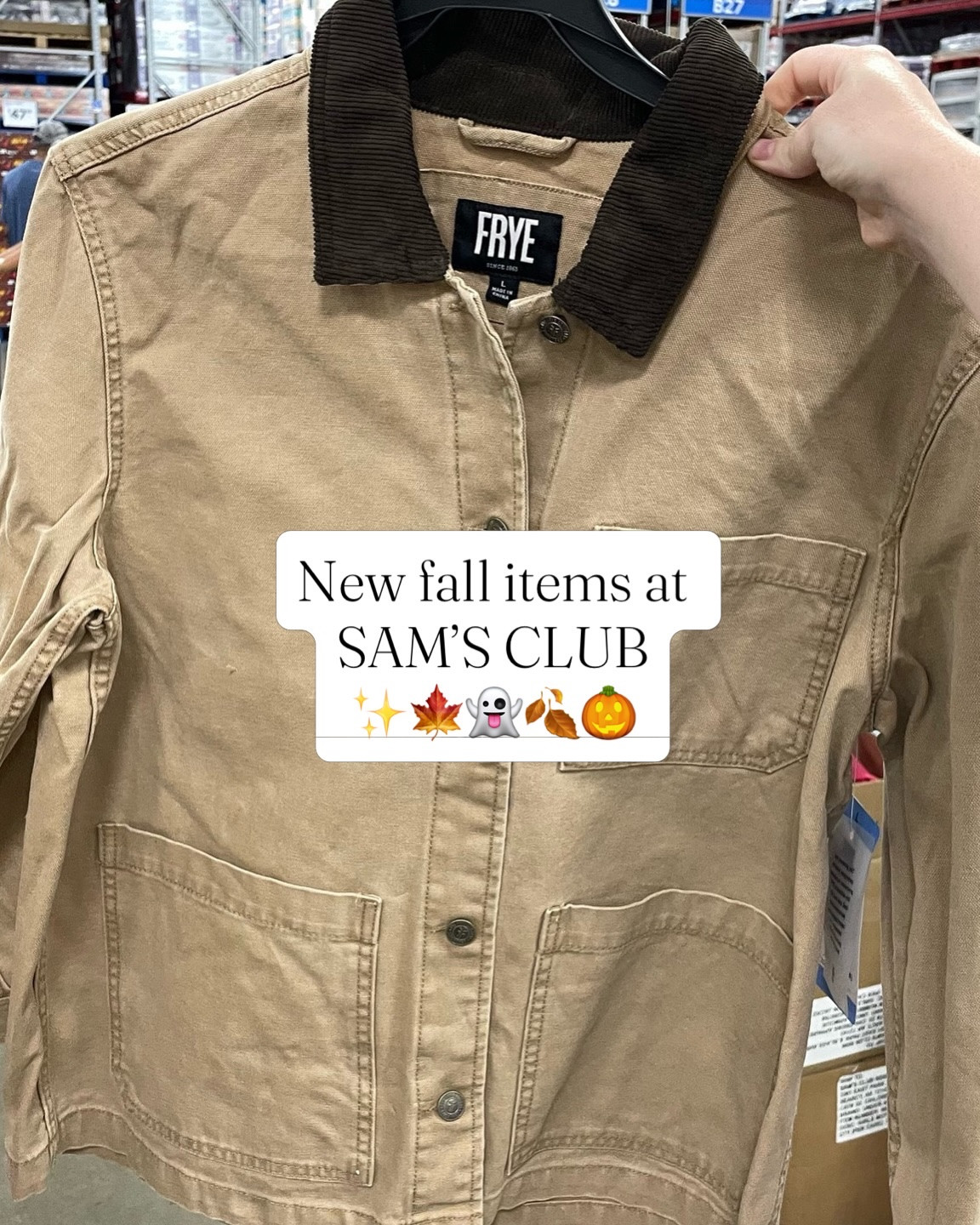 Sam’s Clubs fall items + new options this week!! 🍂🍁👻🎃 comment FALL for the links!! 🔗 #samsclubfinds #samsclub #affordablefinds#LTK

Comment FALL below to receive a DM with the link to this post on my LTK ⬇ https://liketk.it/6luPX

#LTKSeasonal