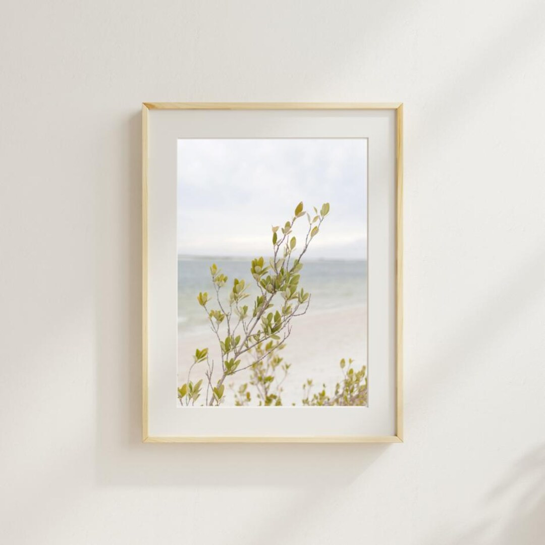 Digital Wall Art, Nature-inspired Digital Prints, Coastal Wall Art Printable, Earth Tone Wall Dec... | Etsy (US)