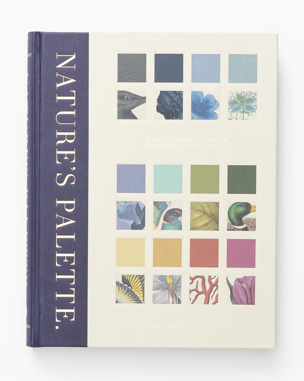 Nature’s Palette | McGee & Co.