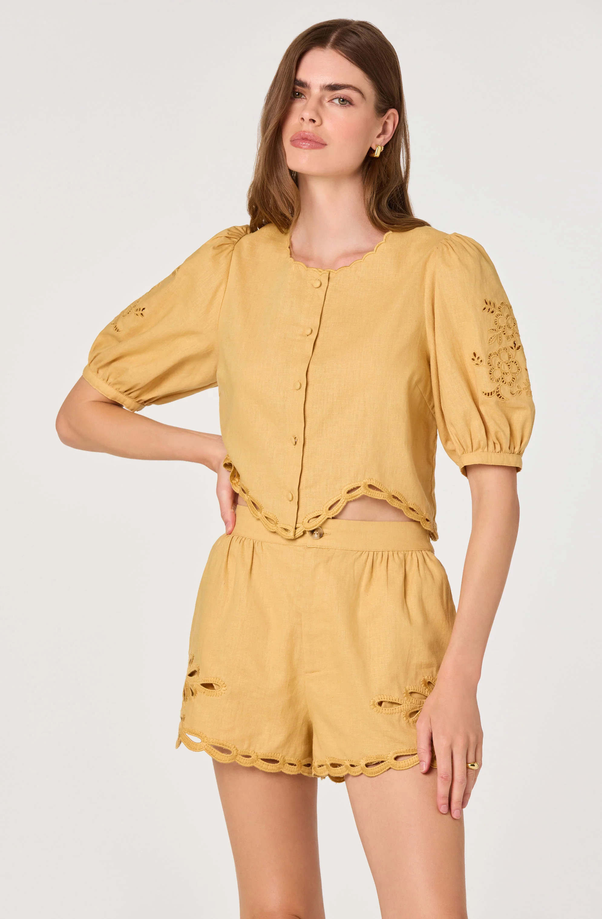 Joellyn Embroidered Puff Sleeve Top - Mustard / XS | ASTR The Label (US)