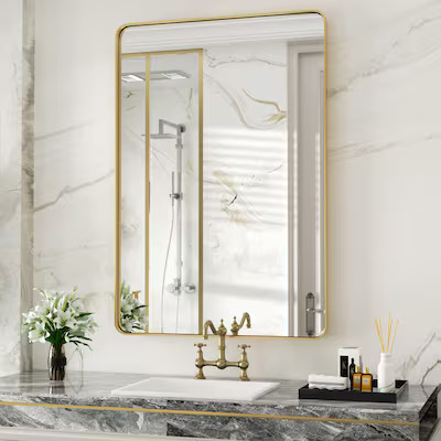 Clavie 22-in W x 30-in H Brushed Gold Framed Wall Mirror | Lowe's