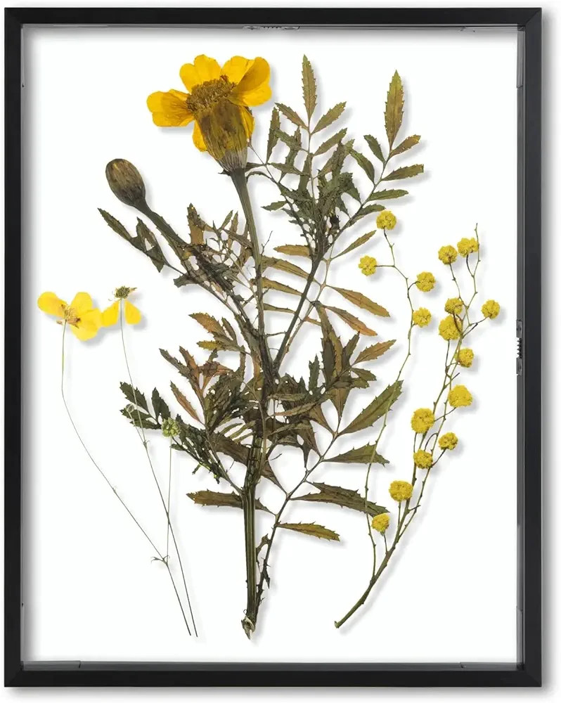 Visit the Frametory Store | Amazon (US)