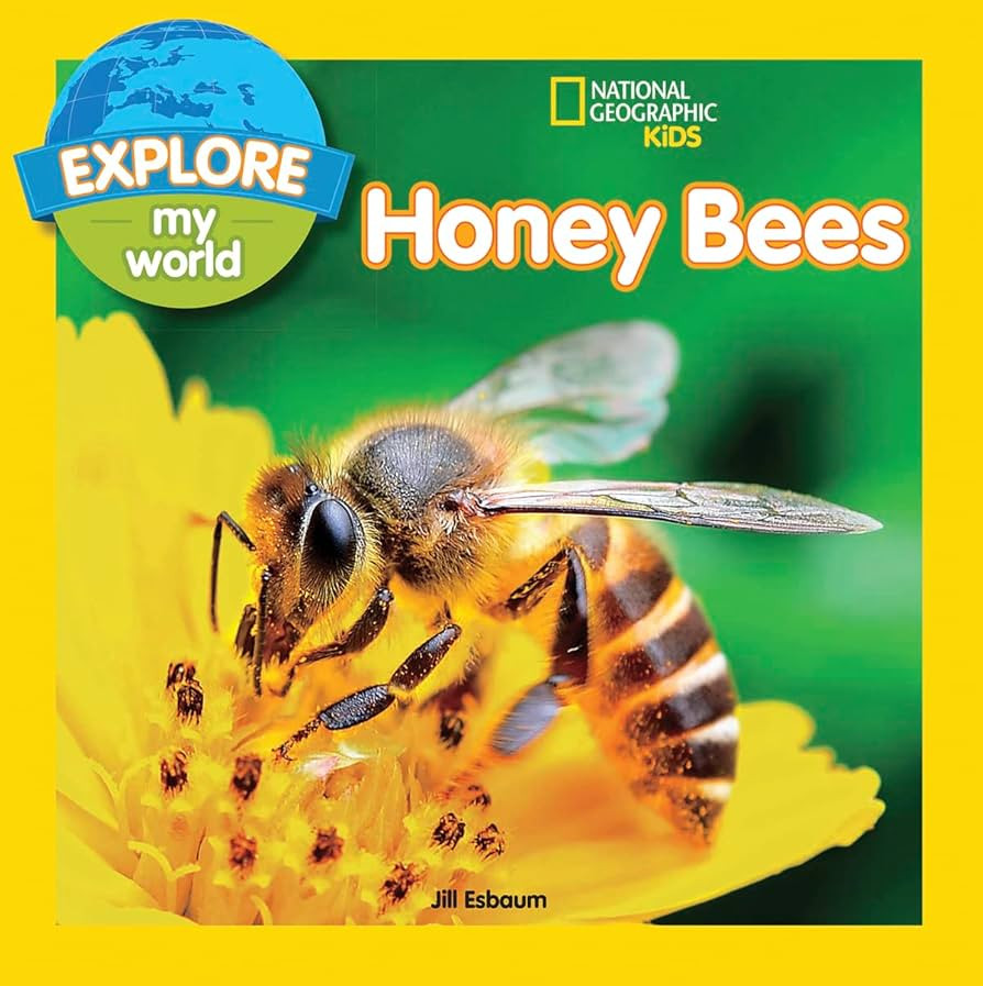 Explore My World: Honey Bees | Amazon (US)