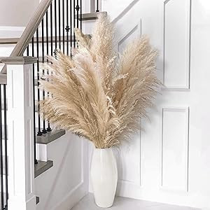 10pcs 40'' Tall Natural Dried Pampas Grass - Elegant Fluffy Pampas Grass for Floor Vase - Beige P... | Amazon (US)